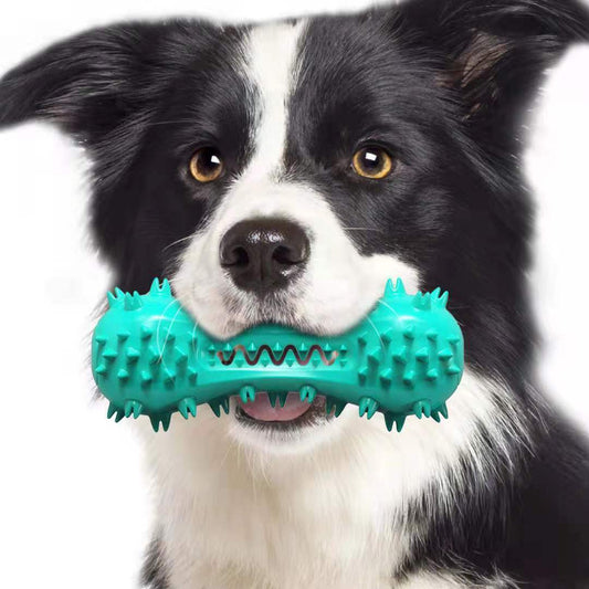 "Rubber Dog Chew Toy for Dental Care & Aggressive Chewers"