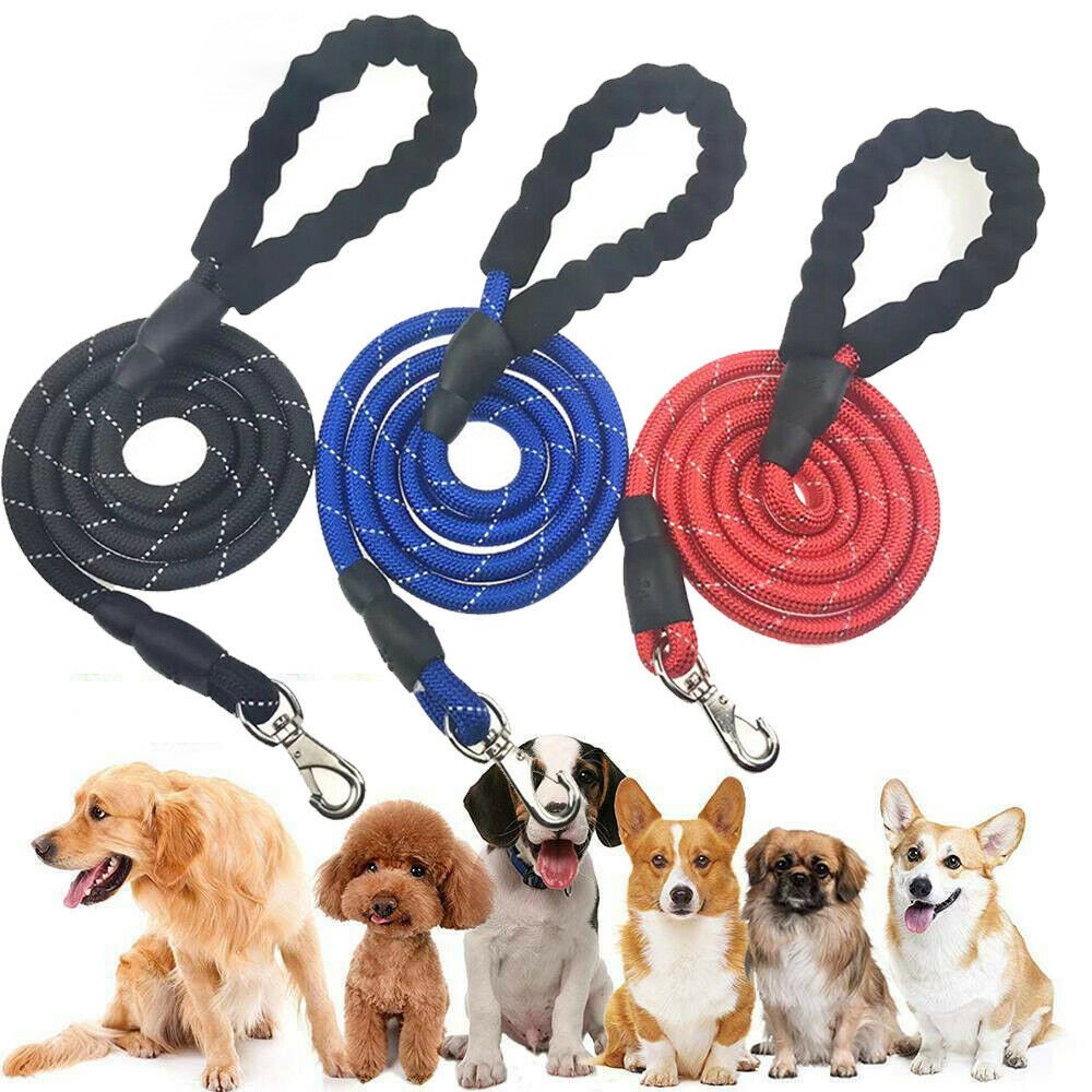 Hands-Free Dog Leash – Adjustable Waist Belt with Shock-Absorbing Bungee