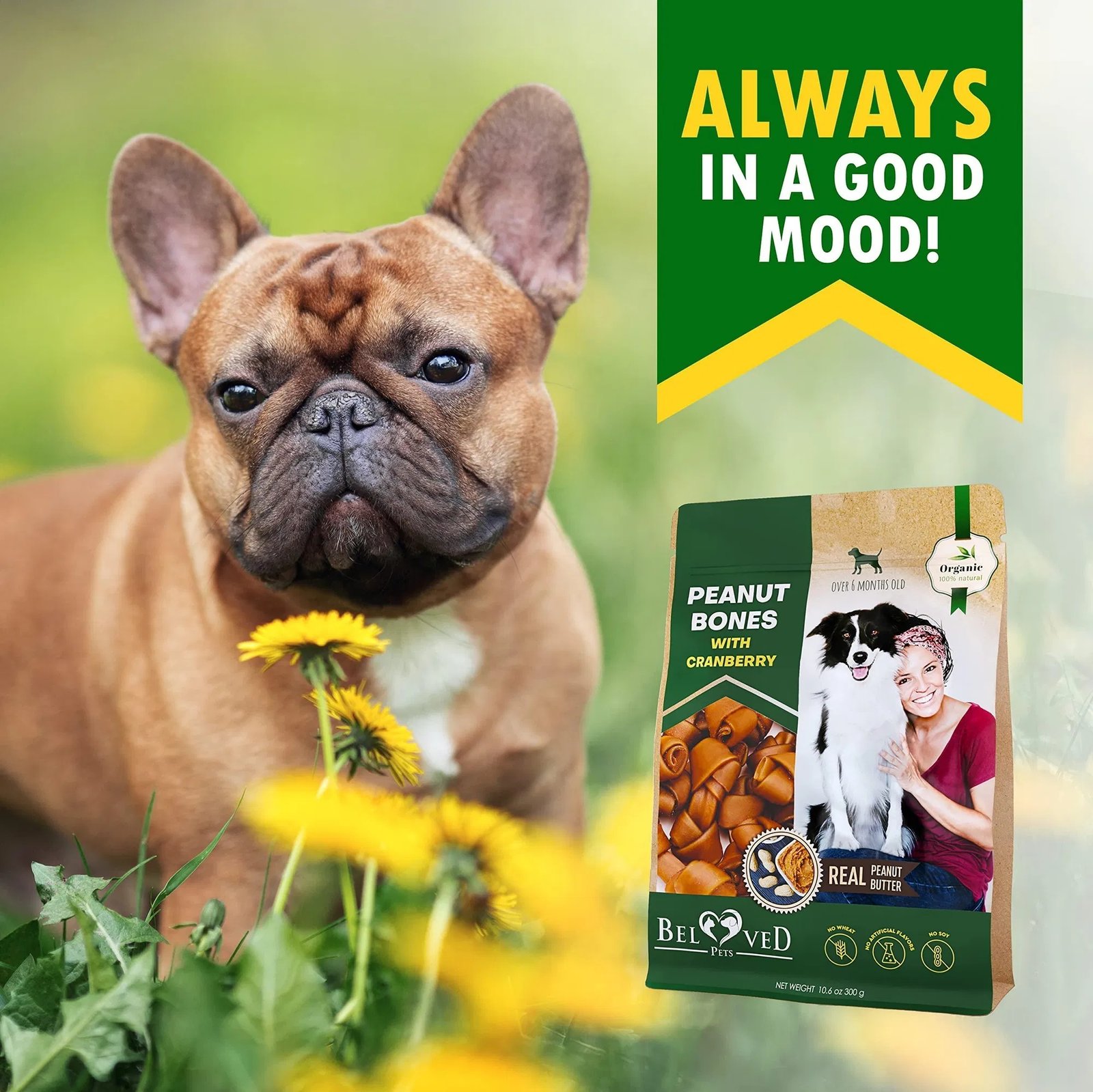 Dog Peanut Butter Bones with Cranberry Rawhide-Free, Organic Healthy Snacks Collagen Chews for Small & Large Dogs - Image 7